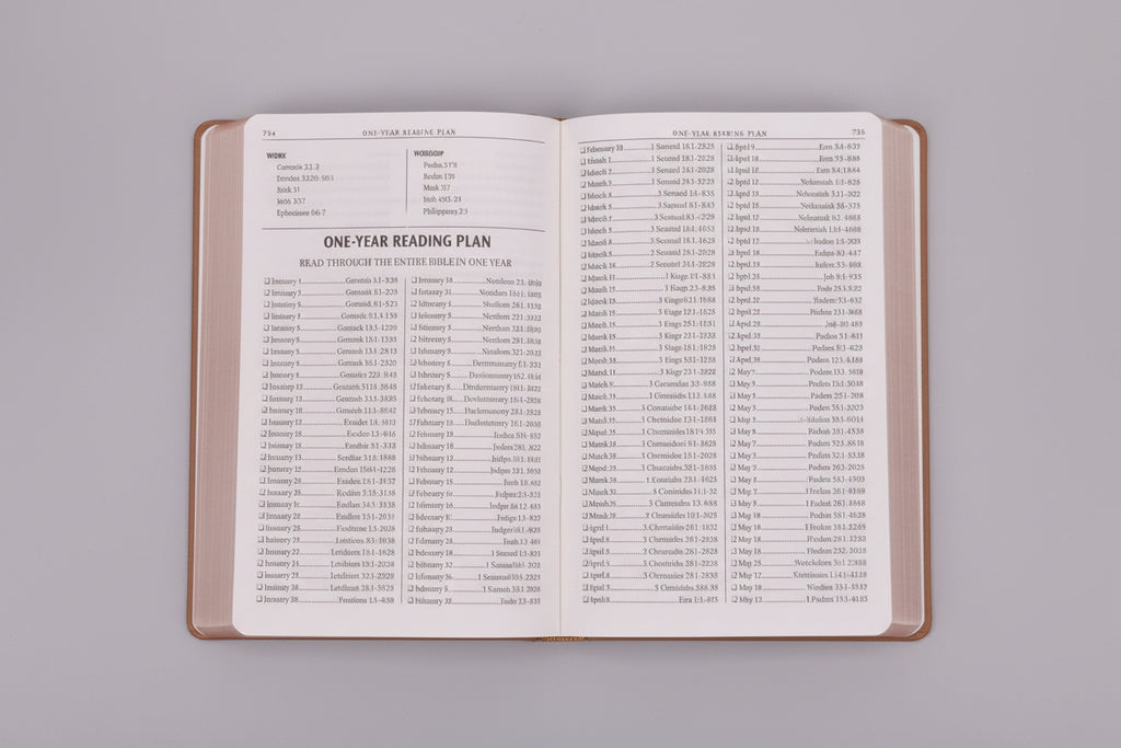 Kjv Bible Gift & Award Faux Leather, Tan