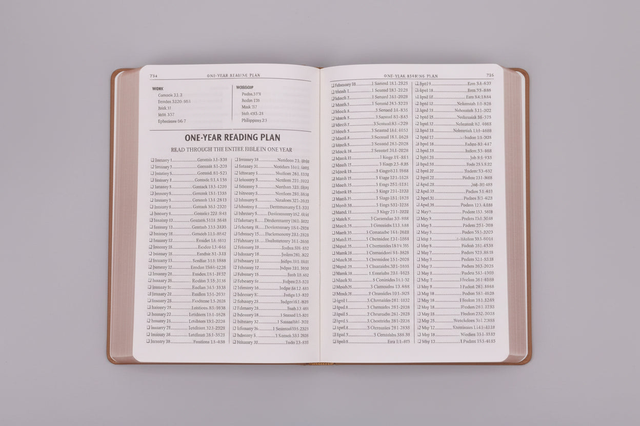 Kjv Bible Gift & Award Faux Leather, Tan