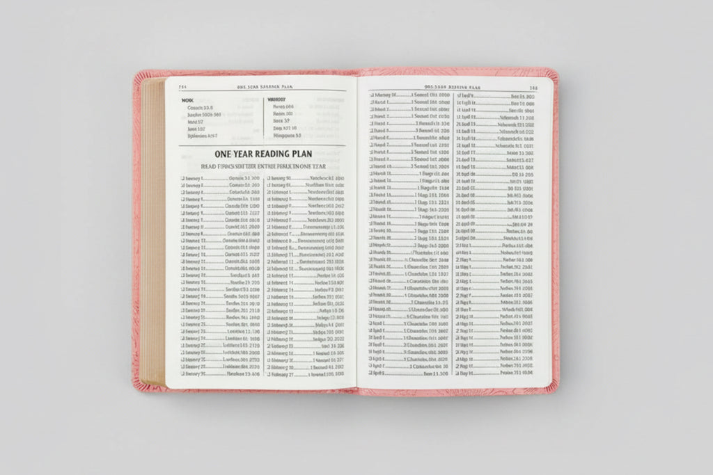 KJV Bible || Faux Leather || Light Pink