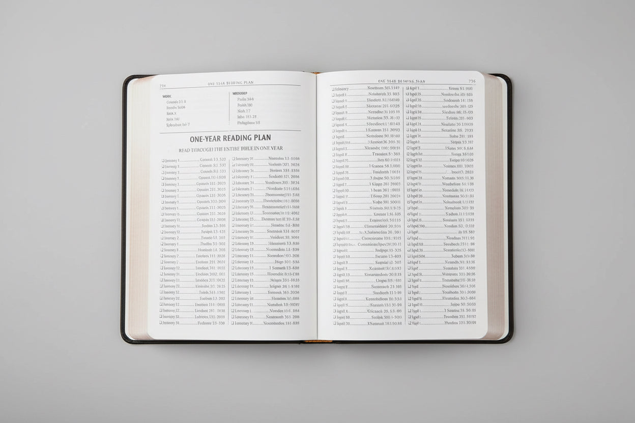 Kjv Bible Gift Faux Leather, Brown